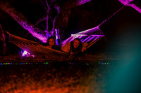 DSCF6311