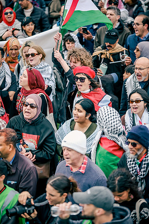 DSCF3154