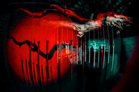 DSCF3862
