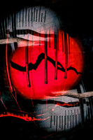 DSCF3892