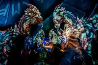 DSCF4600