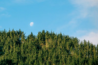 DSCF7019