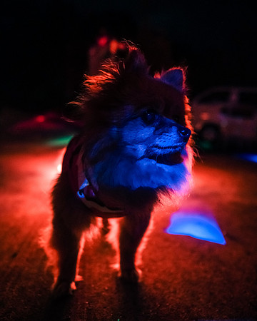 _XT47126
