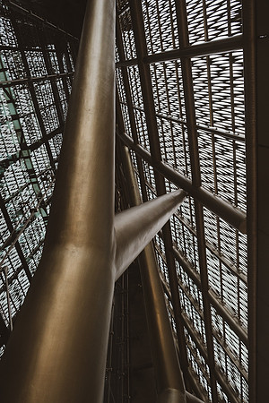 _XT46960