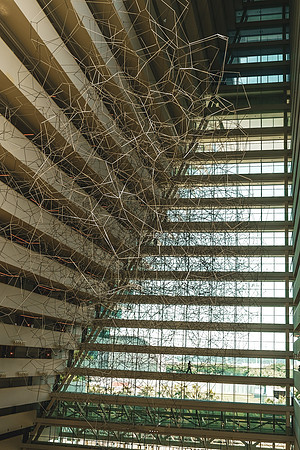 _XT47261