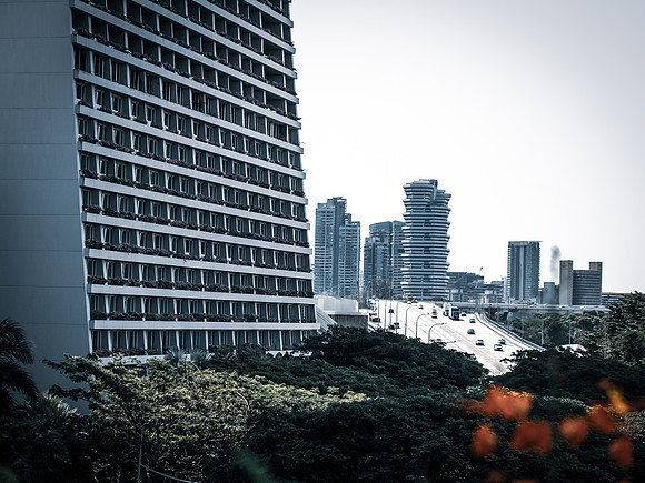 _XT47335