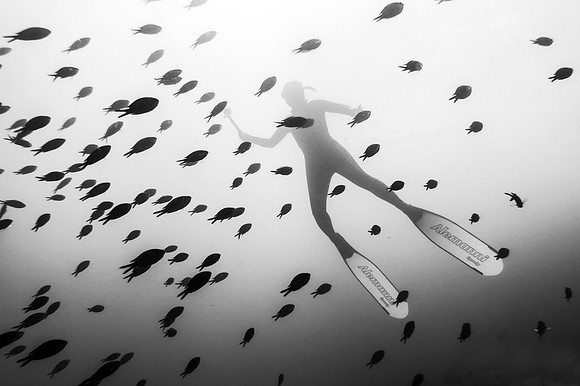 Freedive 5