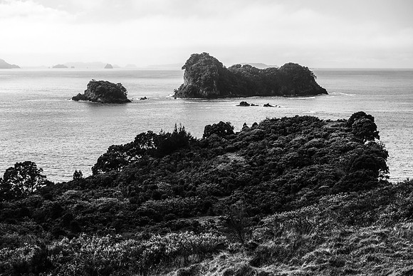 _XT45307
