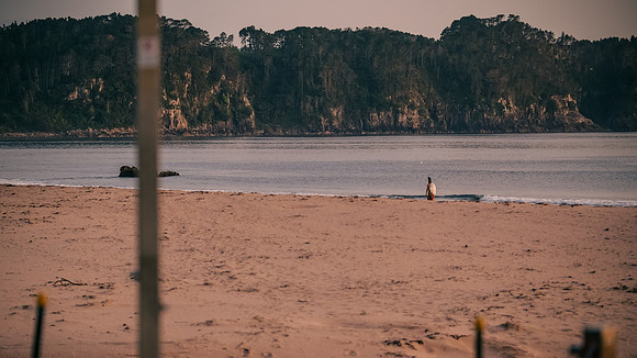 _XT47745