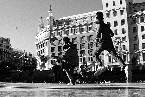 Bcn 26