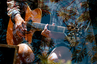 a_XT46169