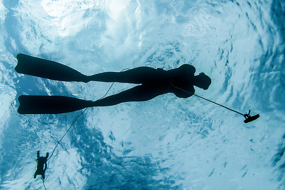 Freedive 3