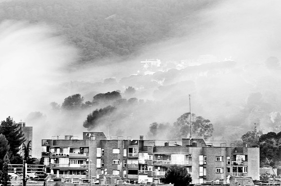 Bcn 9