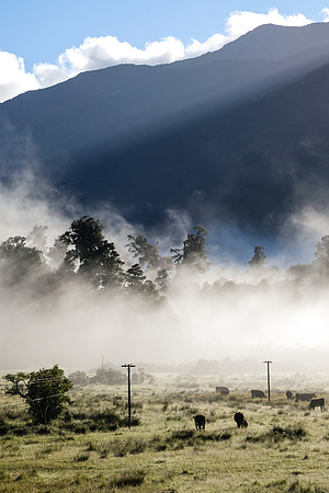 NZ 101