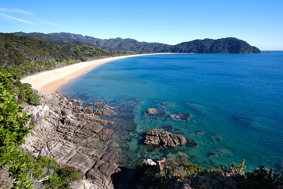 NZ 100