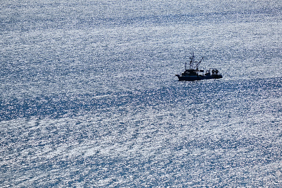 NZ 16