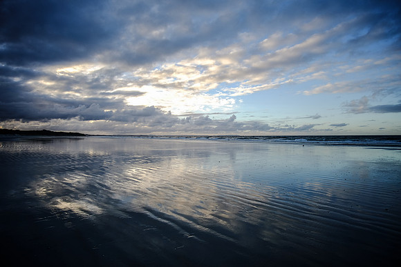 NZ 22