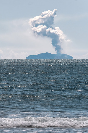 NZ 25