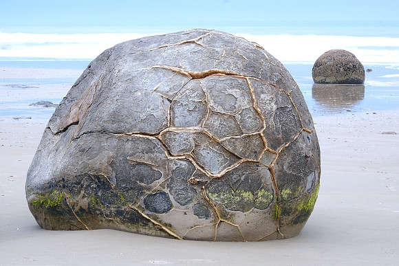 NZ 61