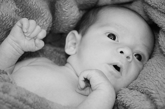 Baby 2