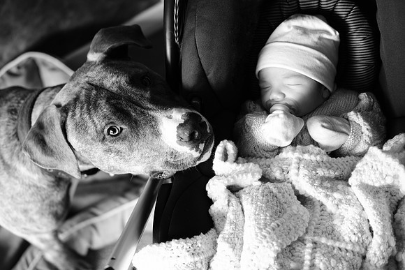 Baby 5