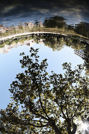 Bcn 38