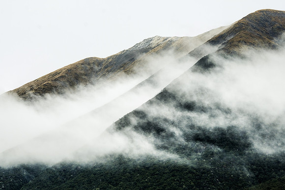 NZ