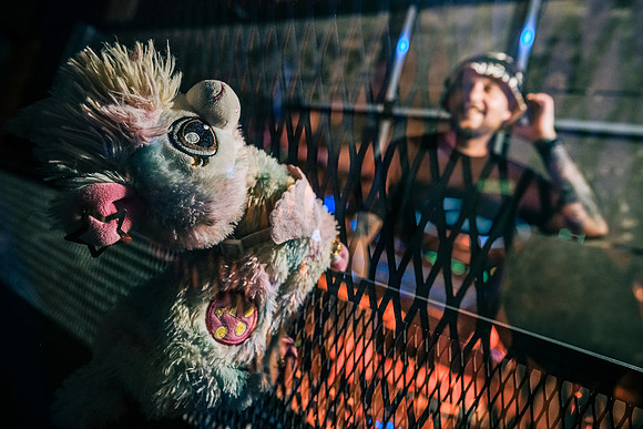 _XT41490