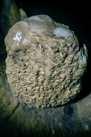 DSCF4230