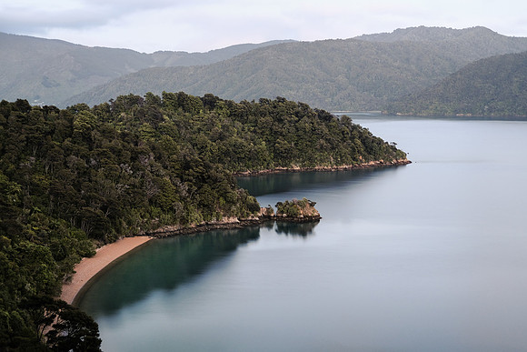 NZ 14