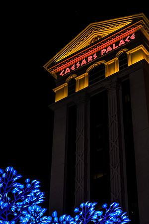 a_XT41781