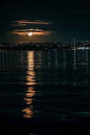 DSCF6903
